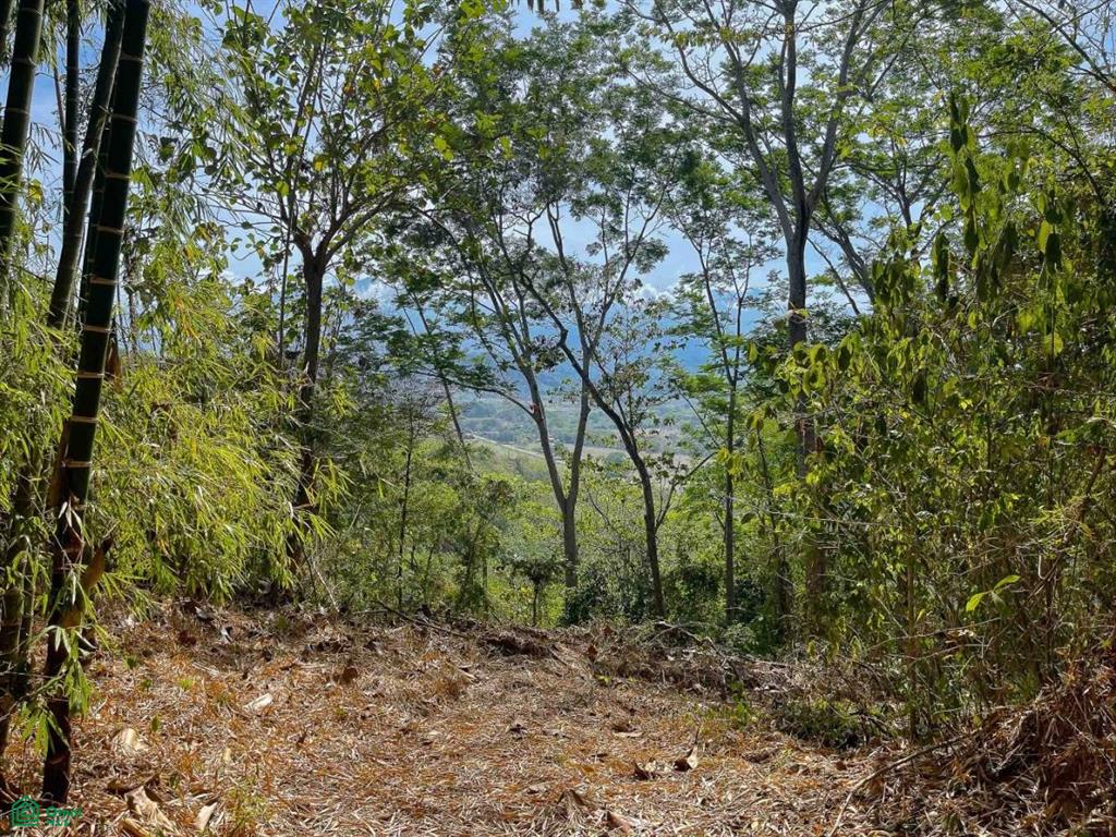 Ocean View Land for Sale , Quepos, Quepos, Puntarenas