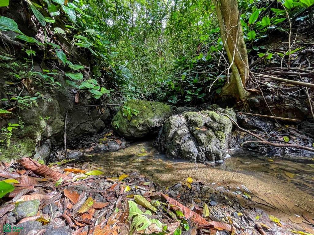 Waterfall Ocean view gated community of Las Palmas , Quepos, Quepos, Puntarenas