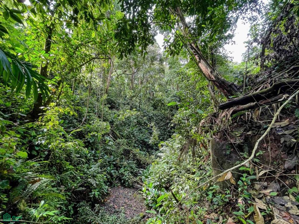 Waterfall Ocean view gated community of Las Palmas , Quepos, Quepos, Puntarenas