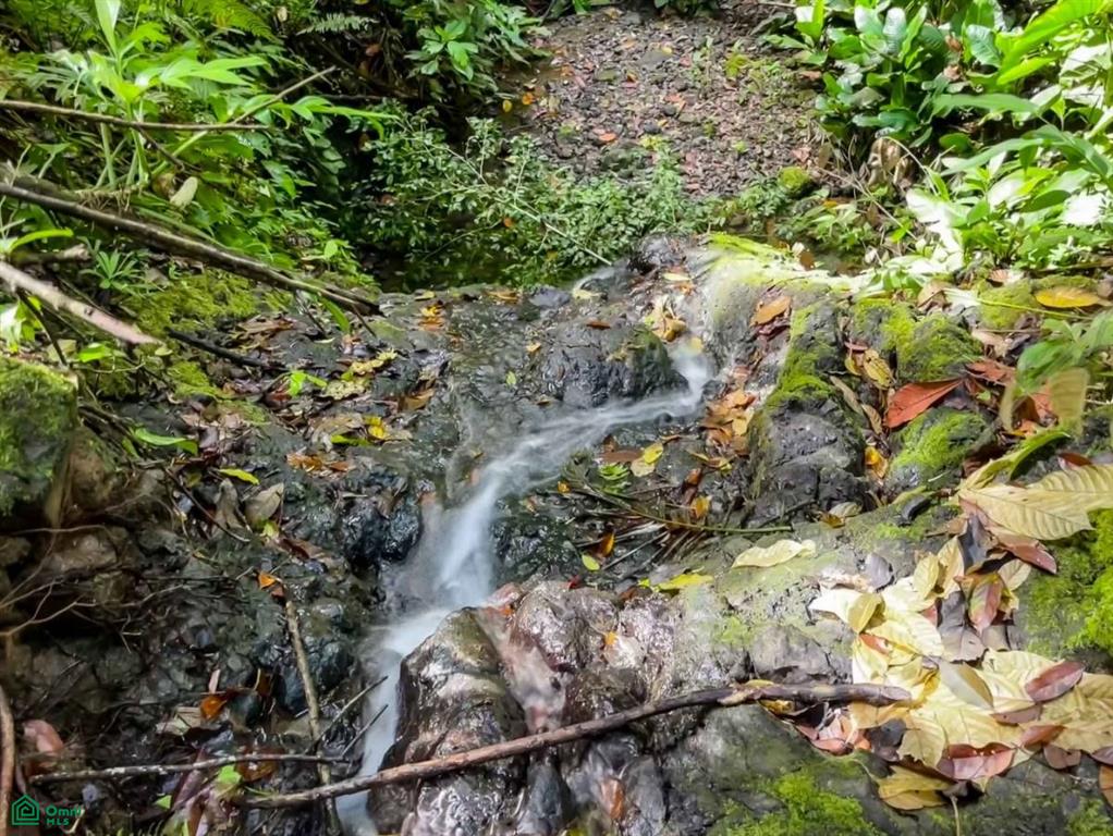 Waterfall Ocean view gated community of Las Palmas , Quepos, Quepos, Puntarenas