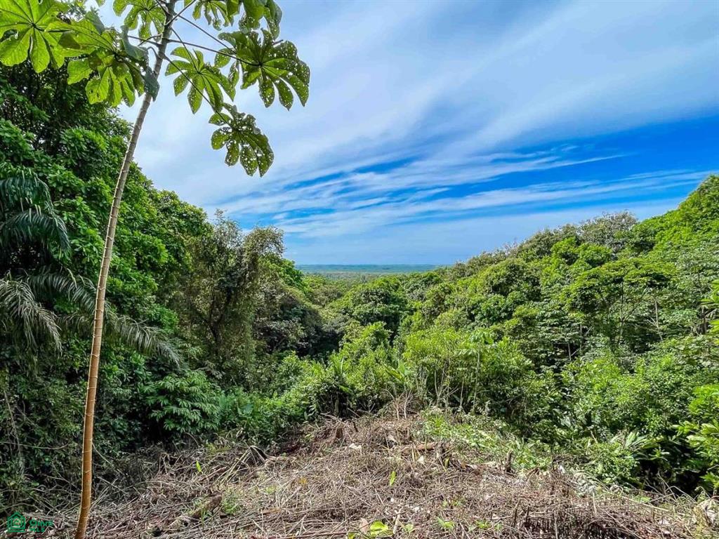 Waterfall Ocean view gated community of Las Palmas , Quepos, Quepos, Puntarenas