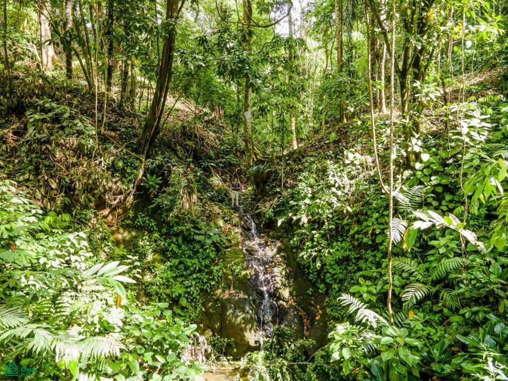 Waterfall Ocean view gated community of Las Palmas , Quepos, Quepos, Puntarenas