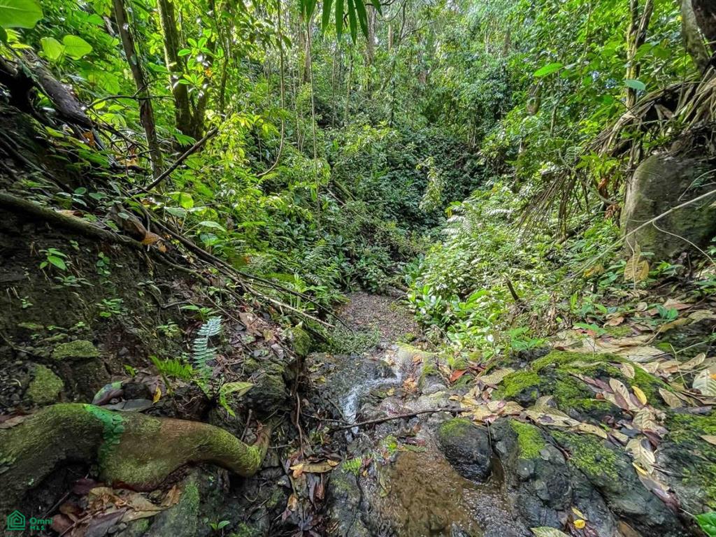 Waterfall Ocean view gated community of Las Palmas , Quepos, Quepos, Puntarenas