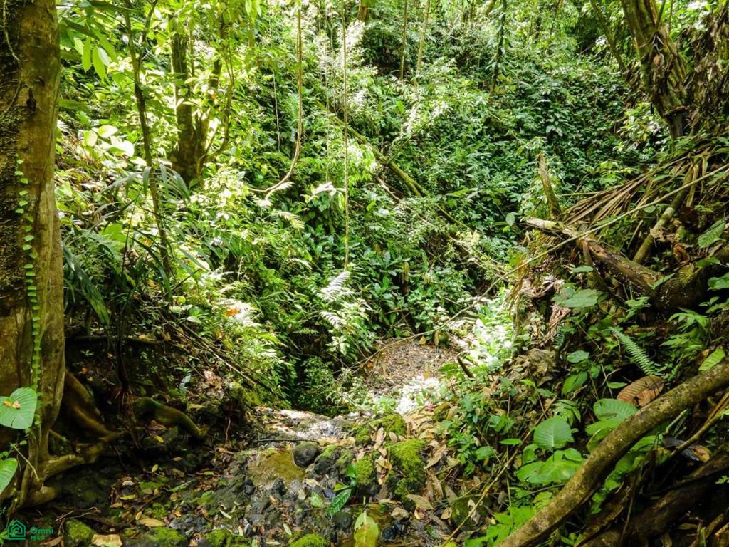 Waterfall Ocean view gated community of Las Palmas , Quepos, Quepos, Puntarenas