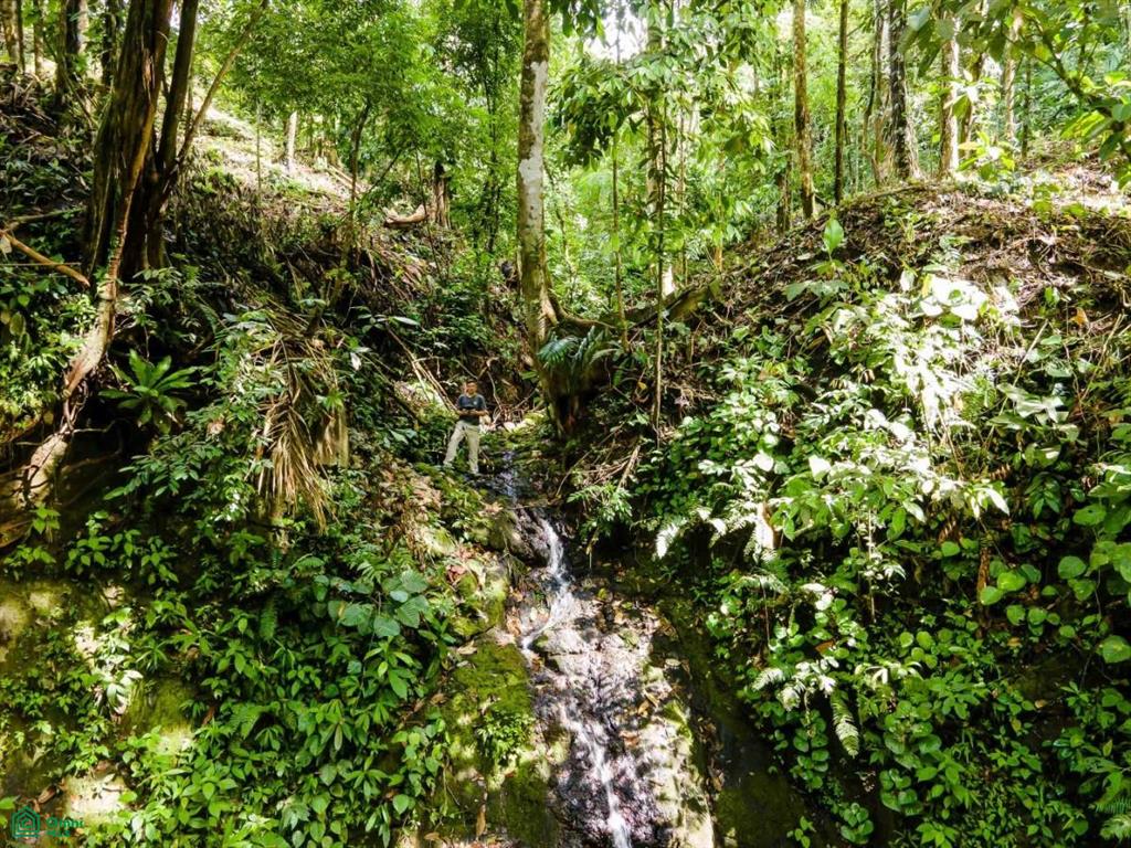 Waterfall Ocean view gated community of Las Palmas , Quepos, Quepos, Puntarenas
