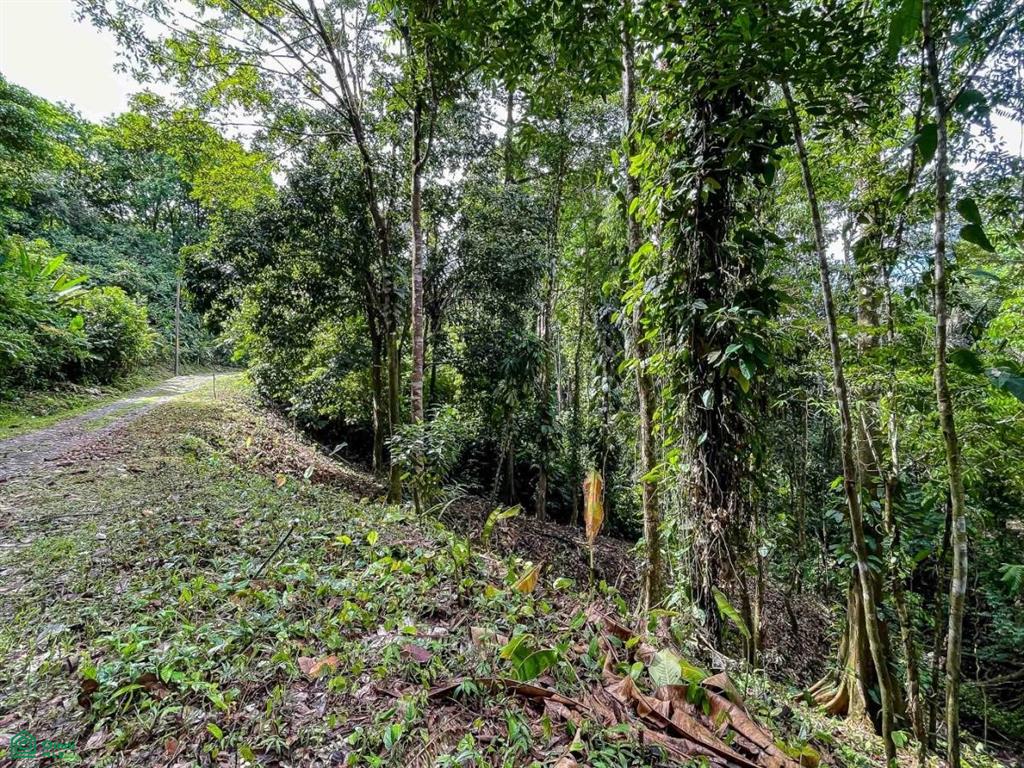 Waterfall Ocean view gated community of Las Palmas , Quepos, Quepos, Puntarenas