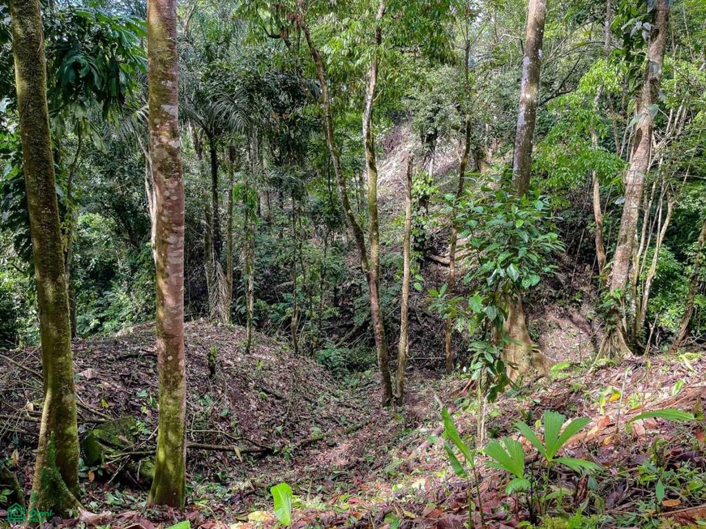 Waterfall Ocean view gated community of Las Palmas , Quepos, Quepos, Puntarenas