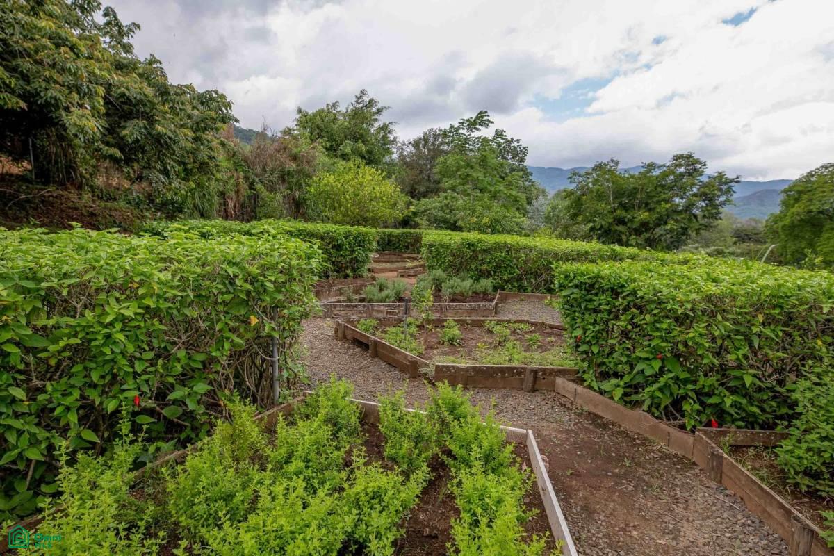 Private Garden Luxury Apartment