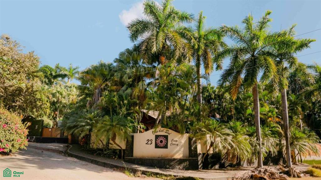 Affordable Tropical Home , Tamarindo, Guanacaste