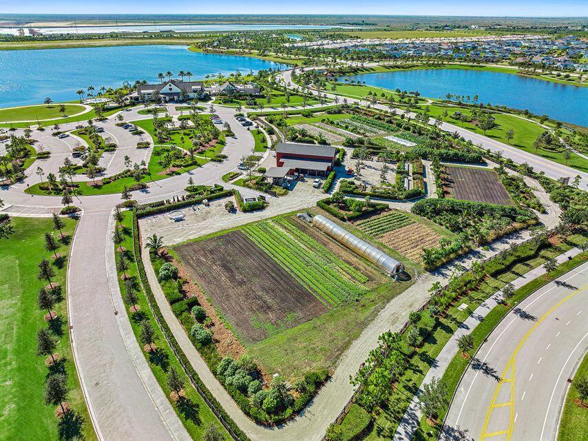 19564 Rugged Trunk Trail