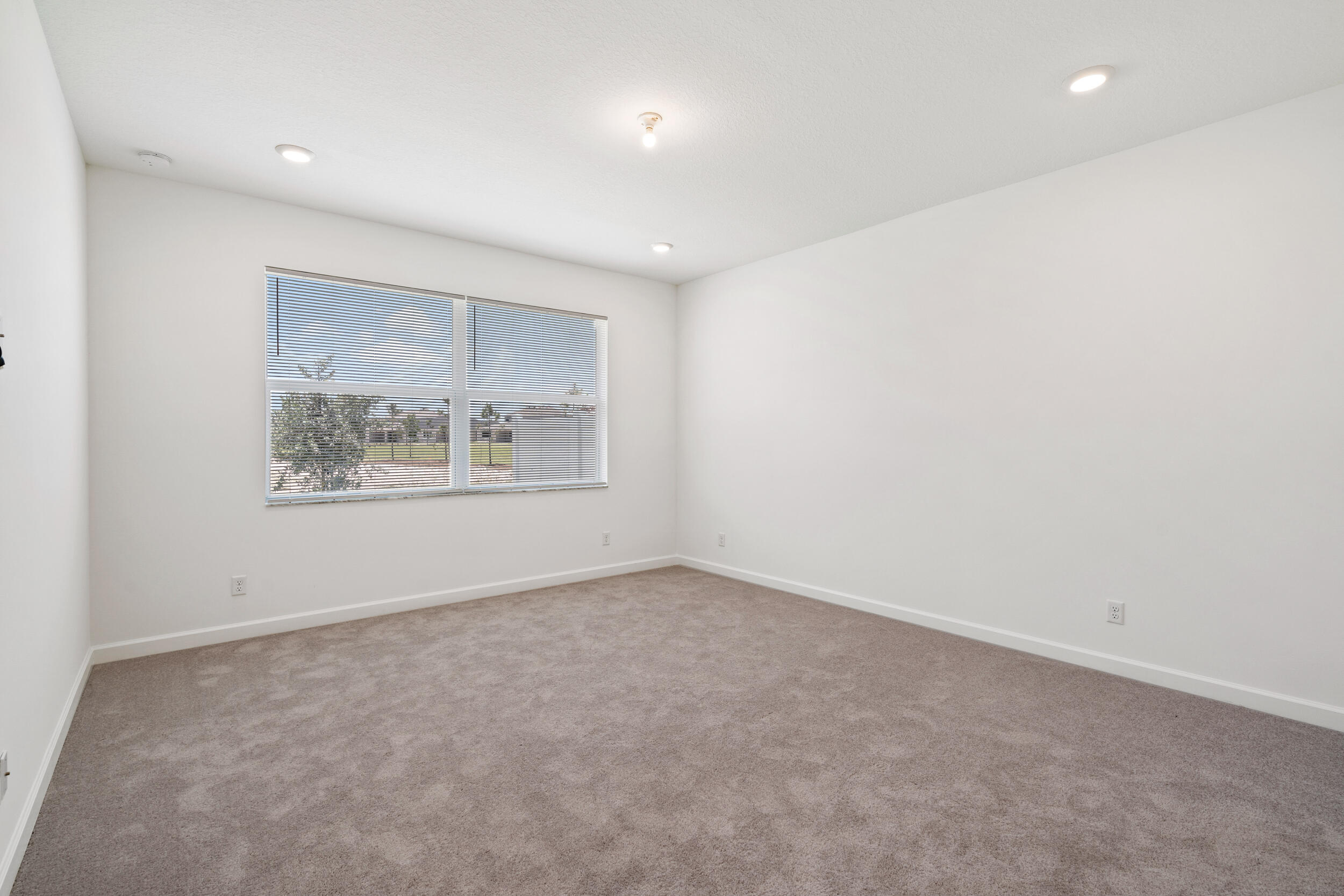 19564 Rugged Trunk Trail