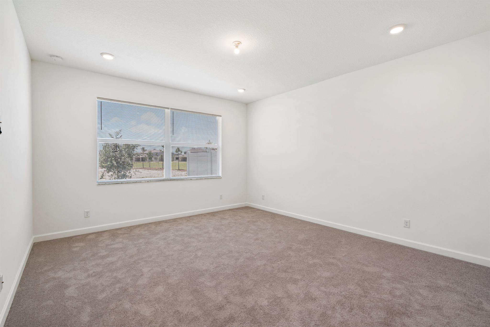 19564 Rugged Trunk Trail