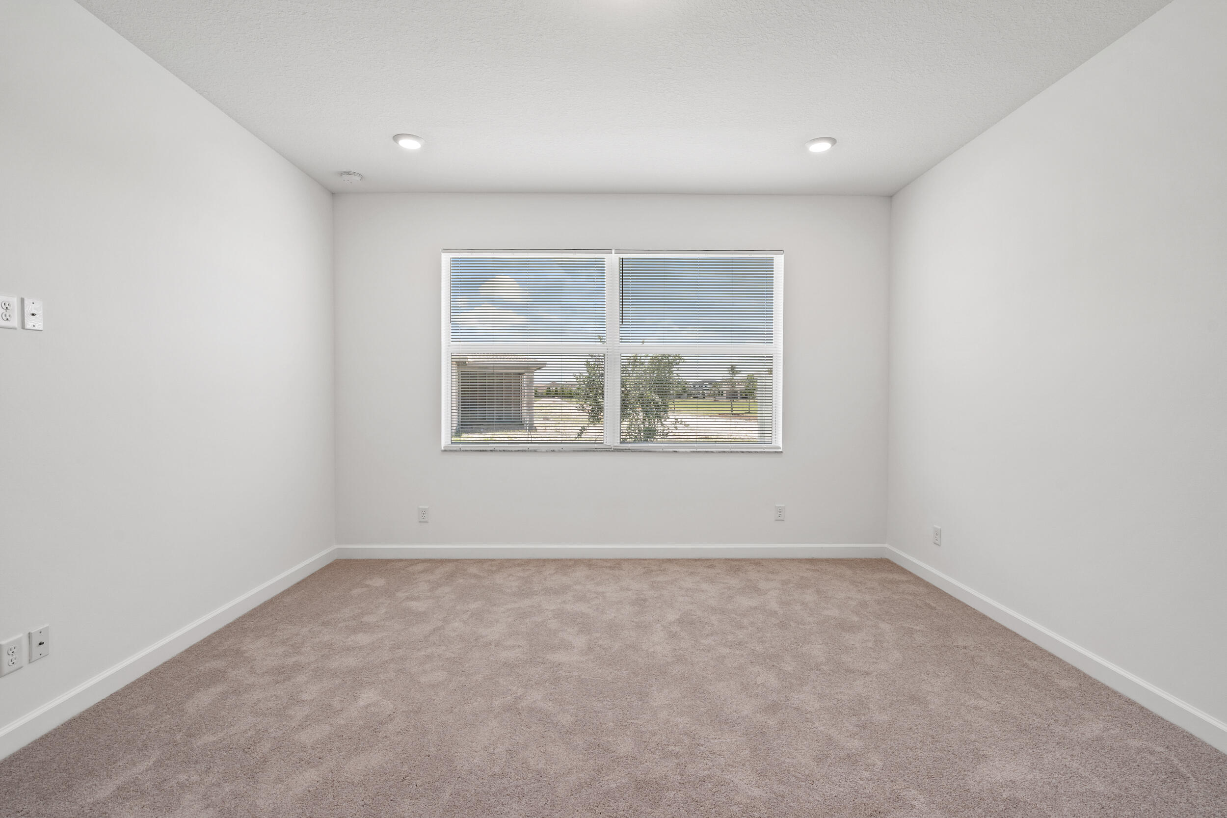 19564 Rugged Trunk Trail