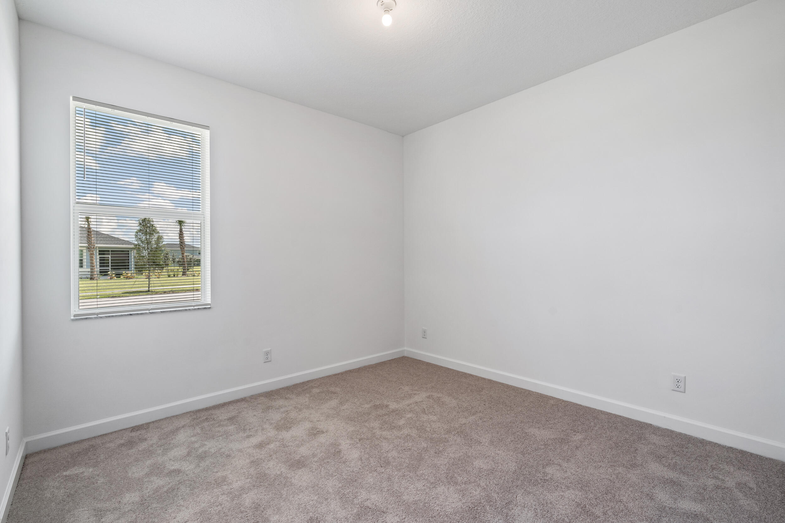 19564 Rugged Trunk Trail