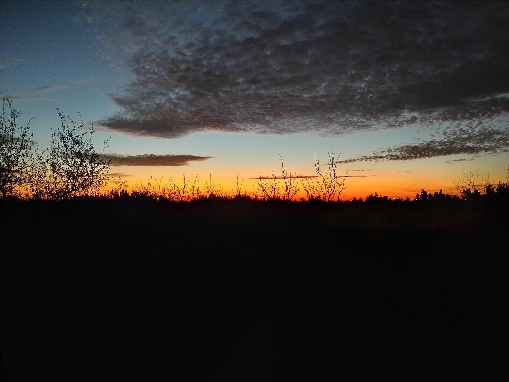 4601 Foster Ranch RD