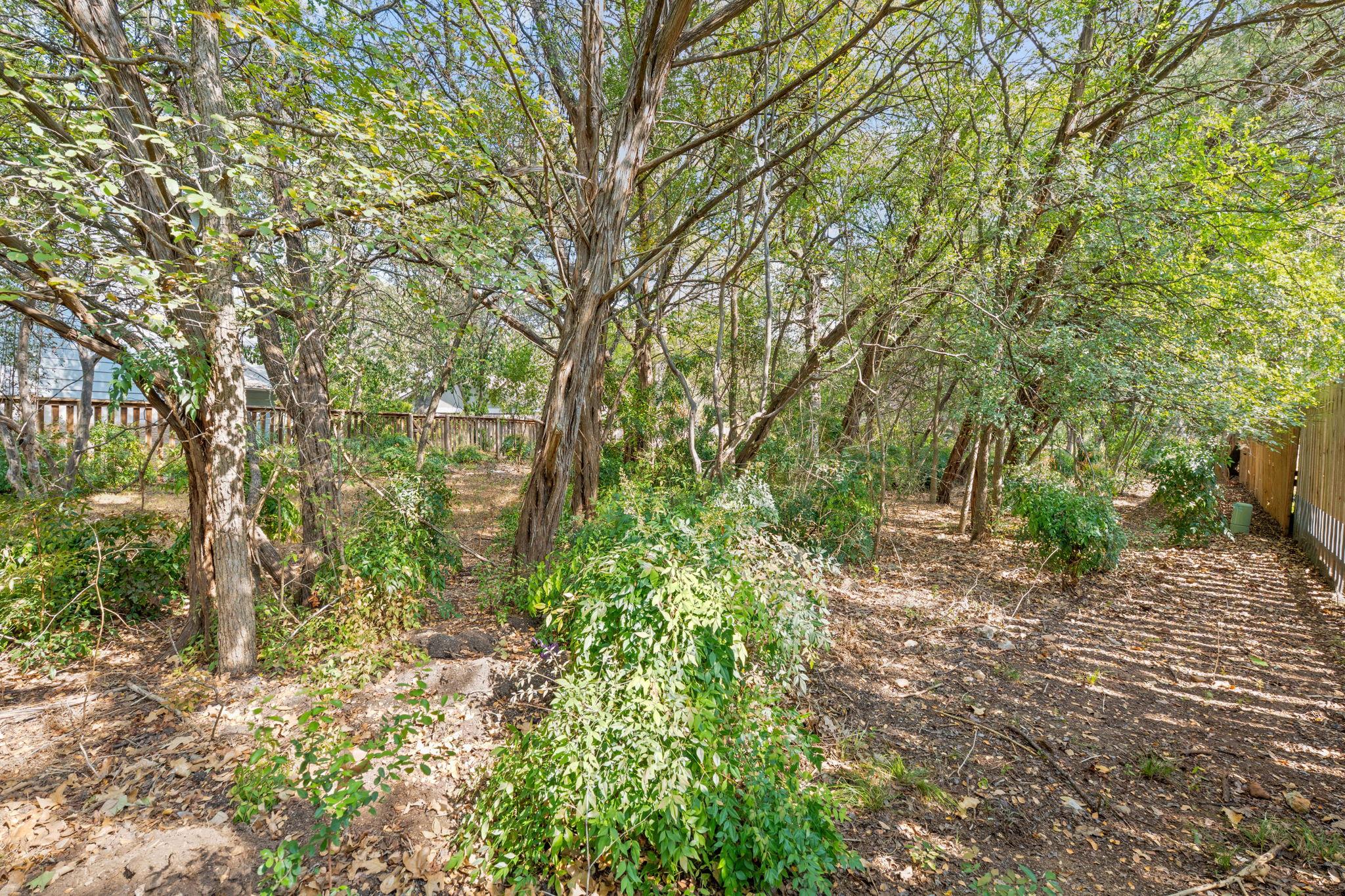 4411 Twisted Tree DR