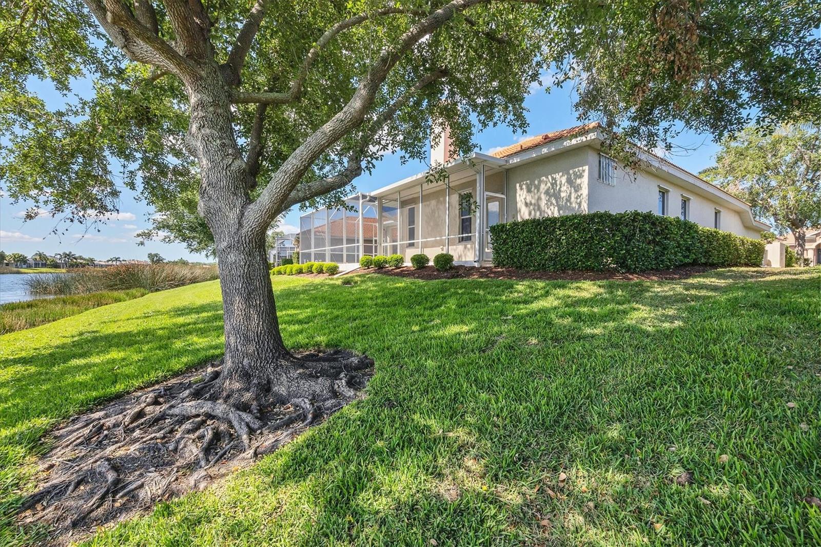 2931 BRAVURA LAKE DR