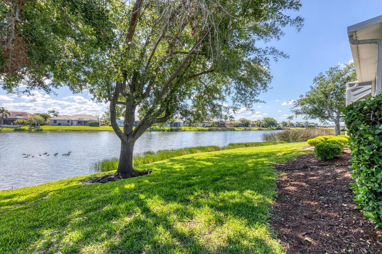 2931 BRAVURA LAKE DR