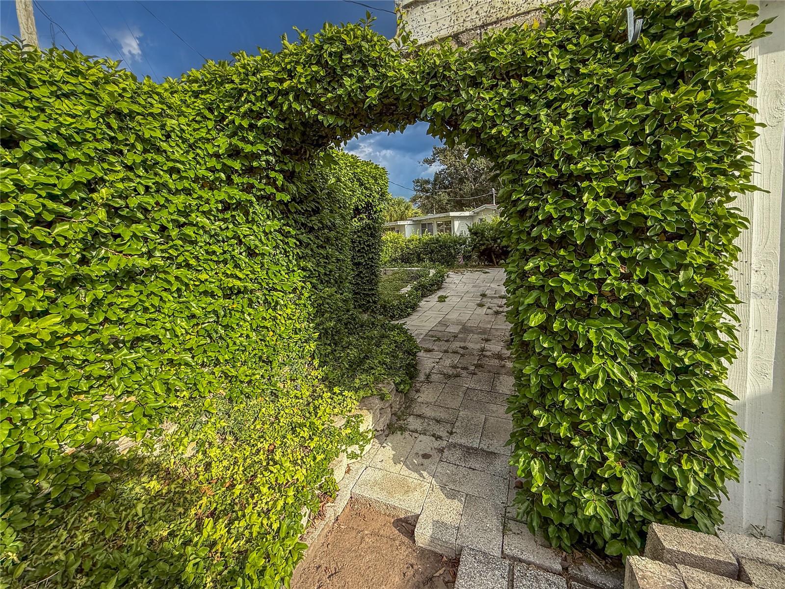 3205 BOUGAINVILLEA ST