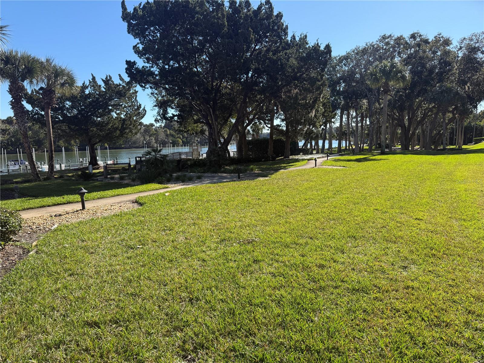 200 CANOPY WALK LN #242