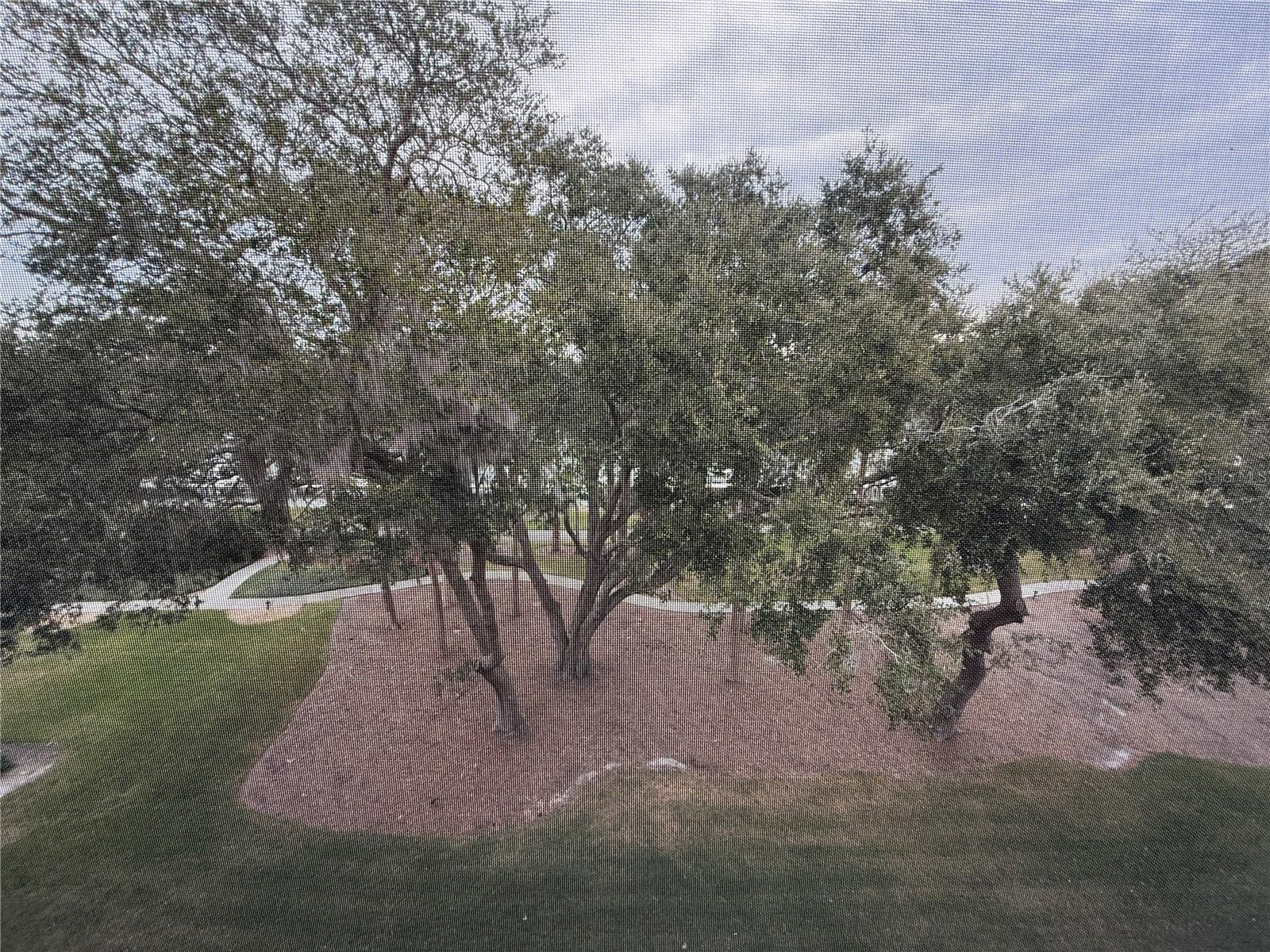 200 CANOPY WALK LN #242