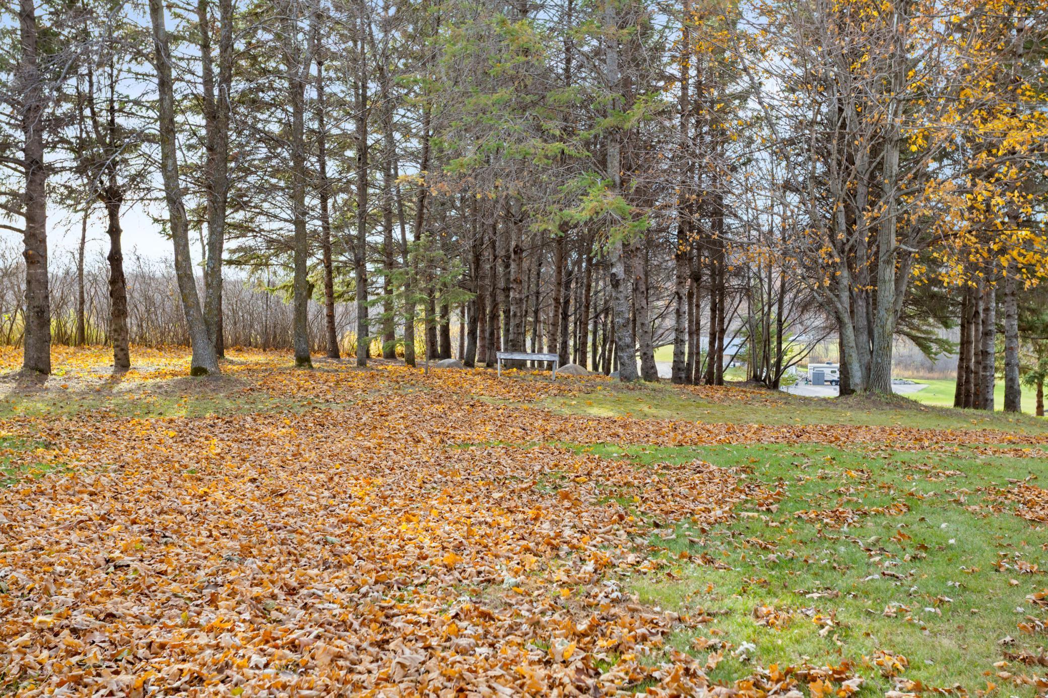 14963 County Highway 5