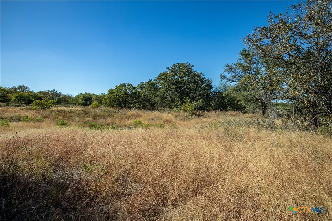 21123 Lamm Road | 73.68± Acres | Bexar County