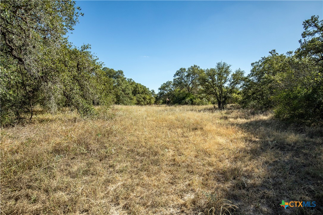 21123 Lamm Road | 73.68± Acres | Bexar County