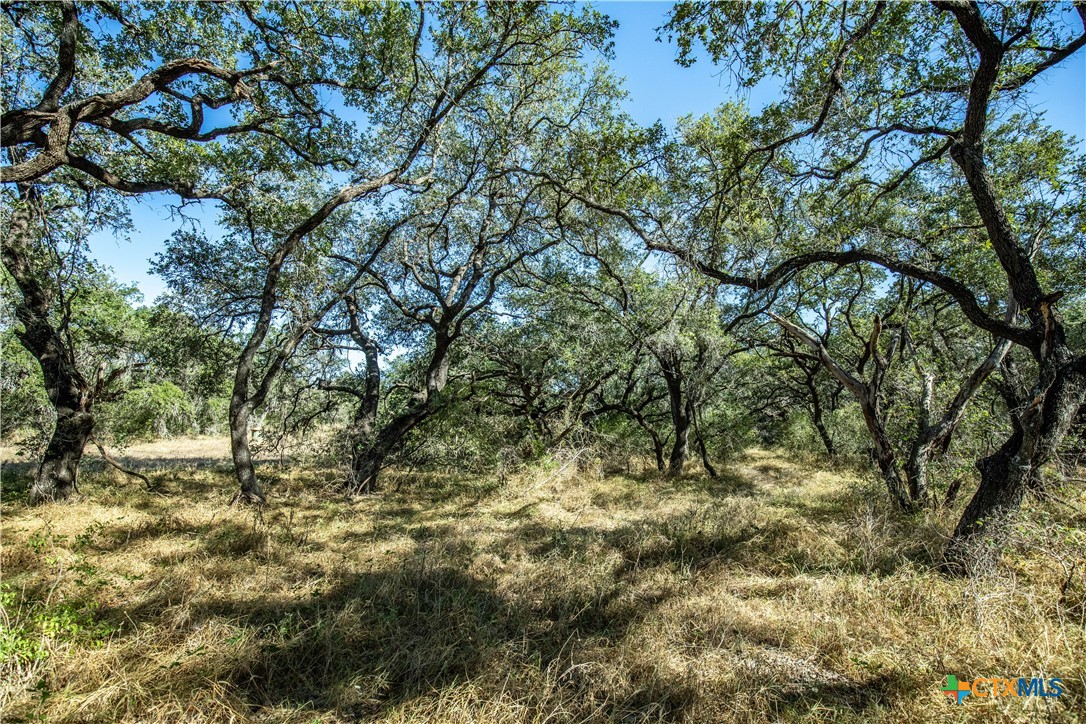 21123 Lamm Road | 73.68± Acres | Bexar County