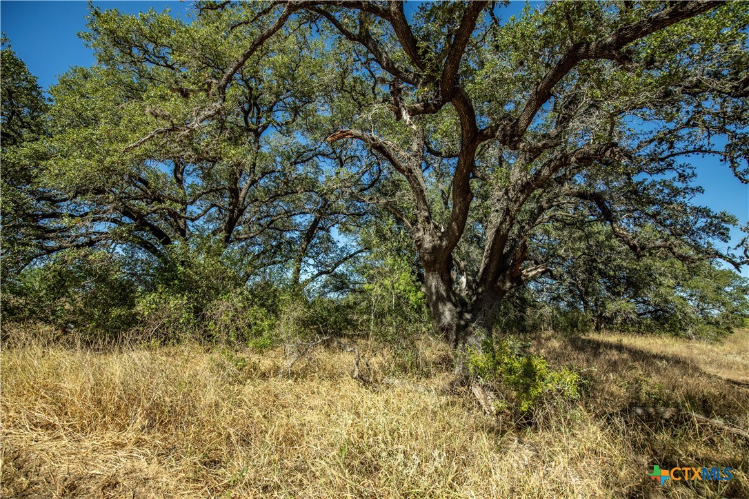 21123 Lamm Road | 73.68± Acres | Bexar County