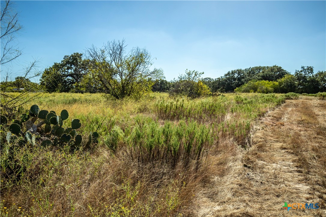 21123 Lamm Road | 73.68± Acres | Bexar County