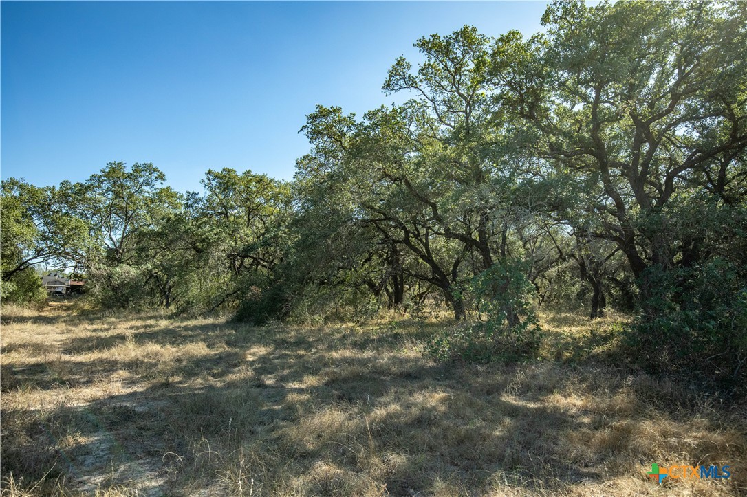 21123 Lamm Road | 73.68± Acres | Bexar County
