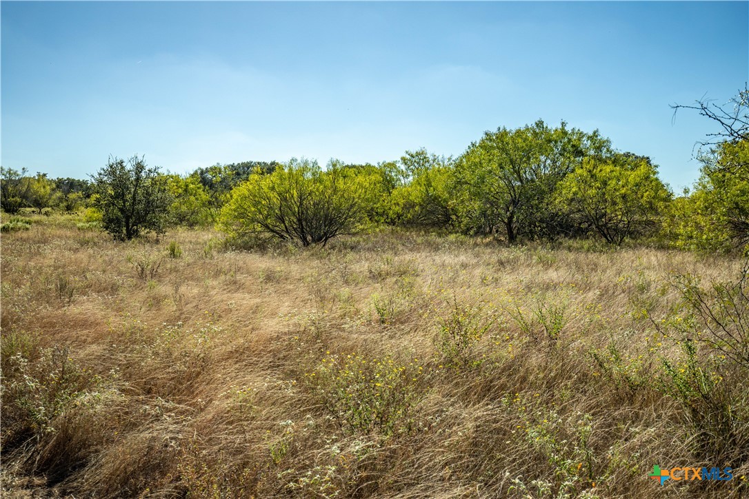 21123 Lamm Road | 73.68± Acres | Bexar County