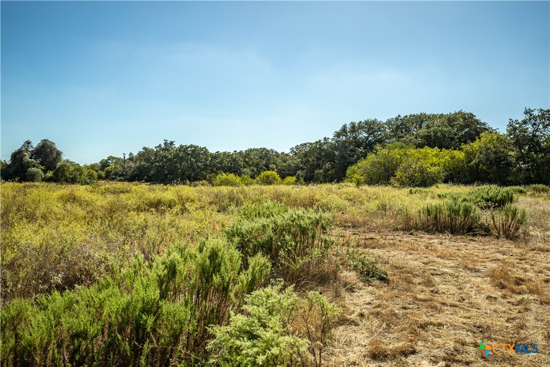21123 Lamm Road | 73.68± Acres | Bexar County