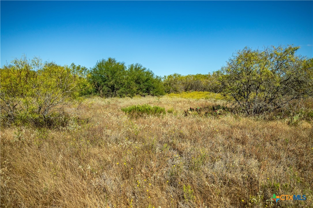 21123 Lamm Road | 73.68± Acres | Bexar County