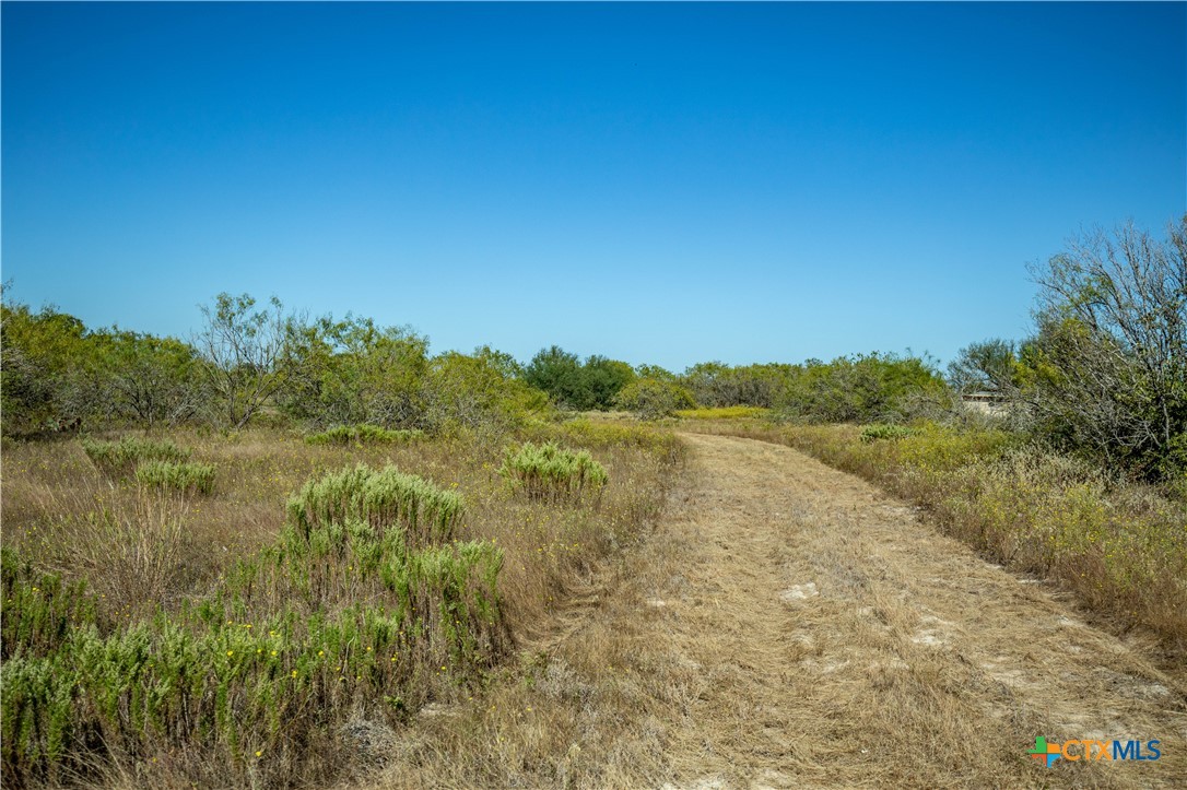 21123 Lamm Road | 73.68± Acres | Bexar County