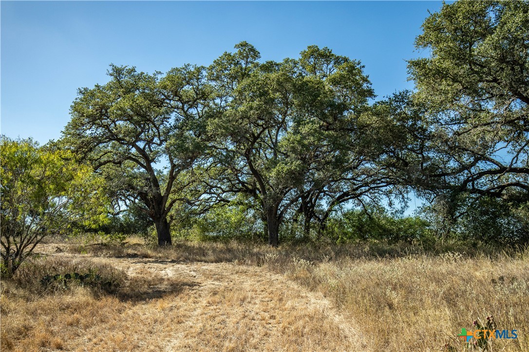 21123 Lamm Road | 73.68± Acres | Bexar County