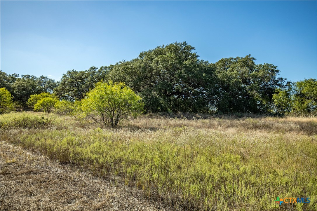 21123 Lamm Road | 73.68± Acres | Bexar County