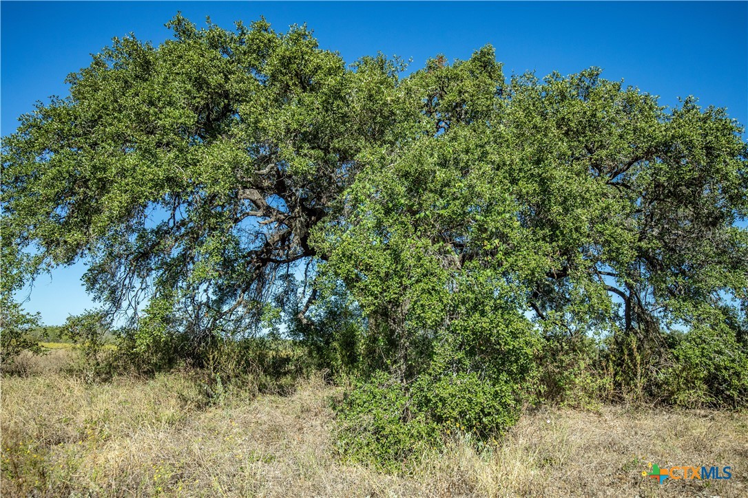 21123 Lamm Road | 73.68± Acres | Bexar County