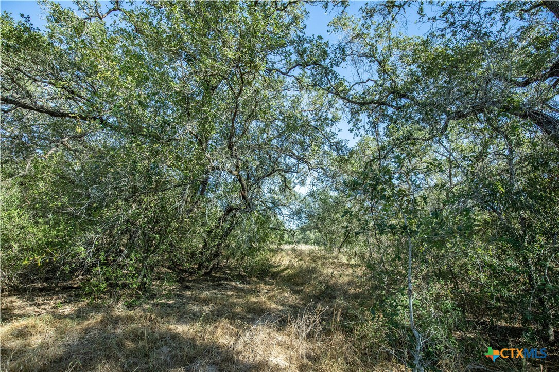 21123 Lamm Road | 73.68± Acres | Bexar County