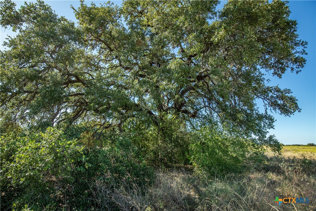 21123 Lamm Road | 73.68± Acres | Bexar County