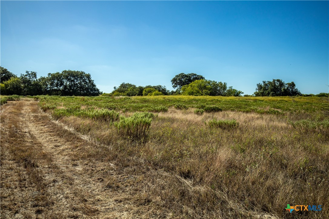 21123 Lamm Road | 73.68± Acres | Bexar County