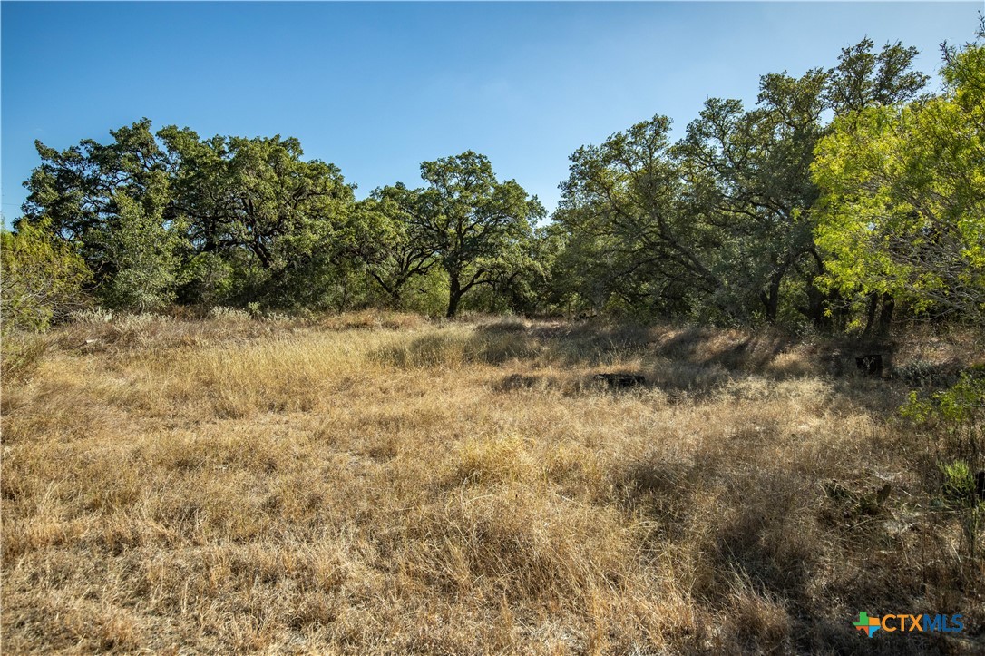 21123 Lamm Road | 73.68± Acres | Bexar County