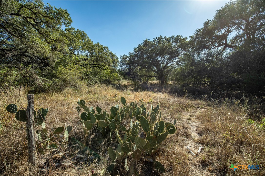 21123 Lamm Road | 73.68± Acres | Bexar County