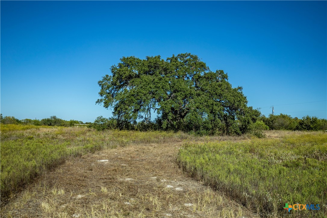 21123 Lamm Road | 73.68± Acres | Bexar County