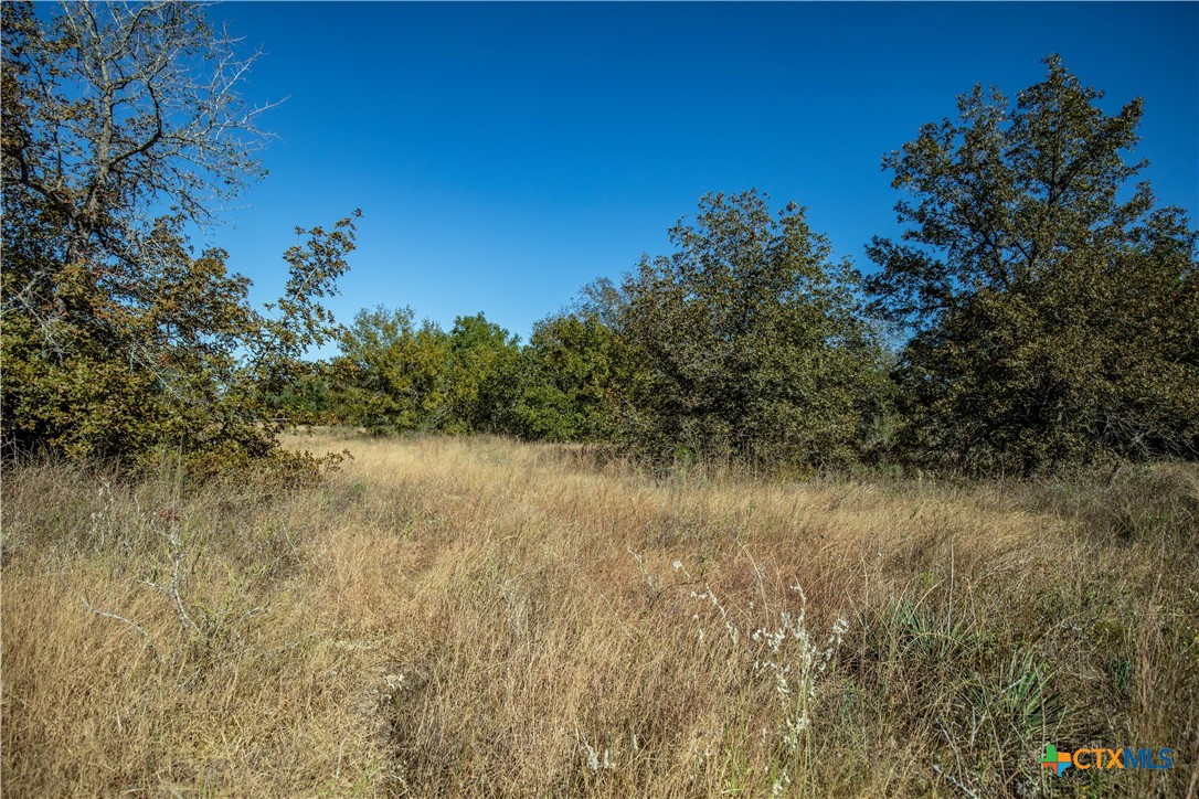 21123 Lamm Road | 73.68± Acres | Bexar County