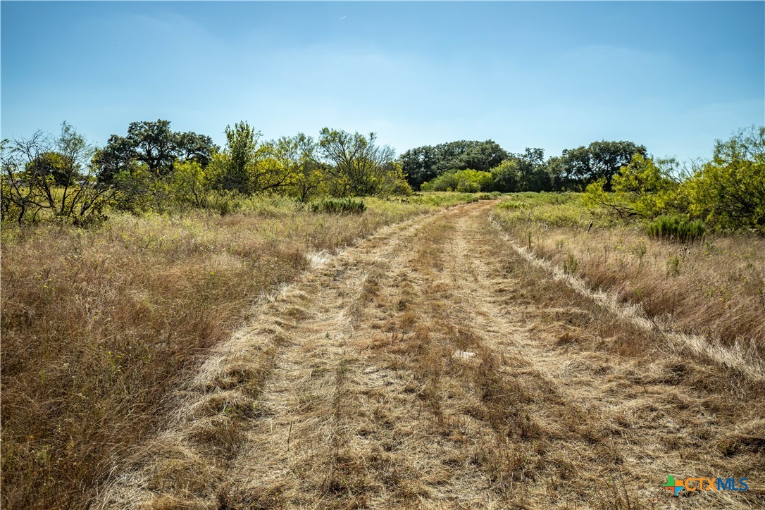 21123 Lamm Road | 73.68± Acres | Bexar County