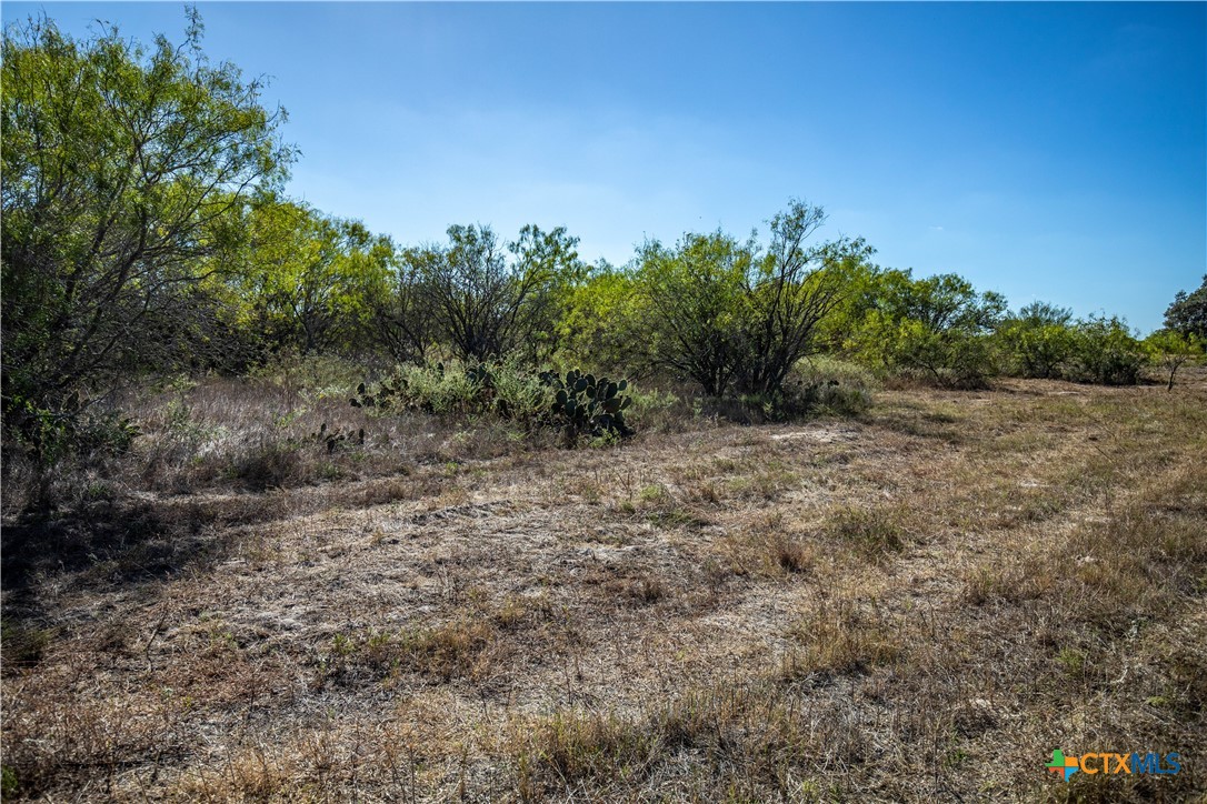 21123 Lamm Road | 73.68± Acres | Bexar County