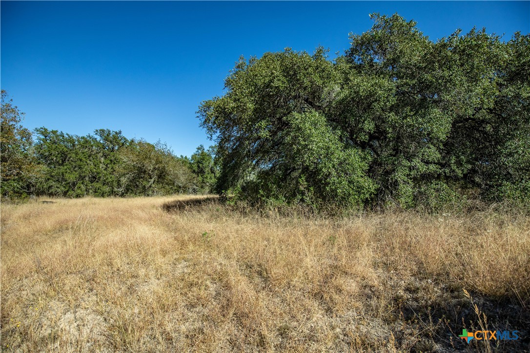 21123 Lamm Road | 73.68± Acres | Bexar County