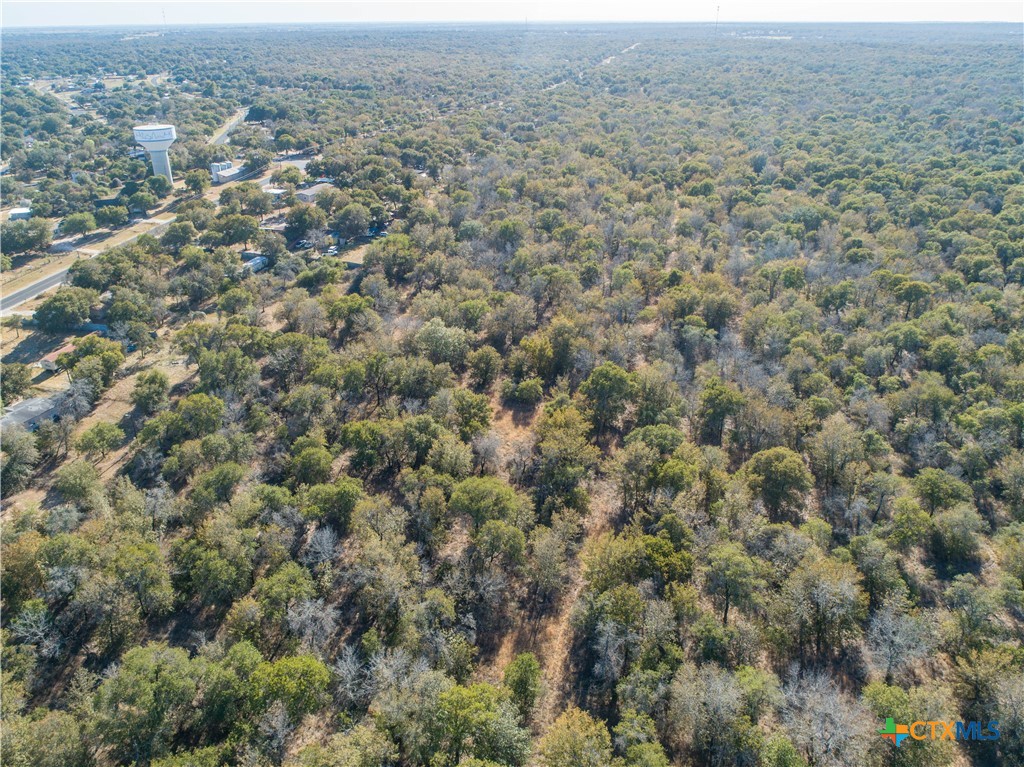 21123 Lamm Road | 73.68± Acres | Bexar County